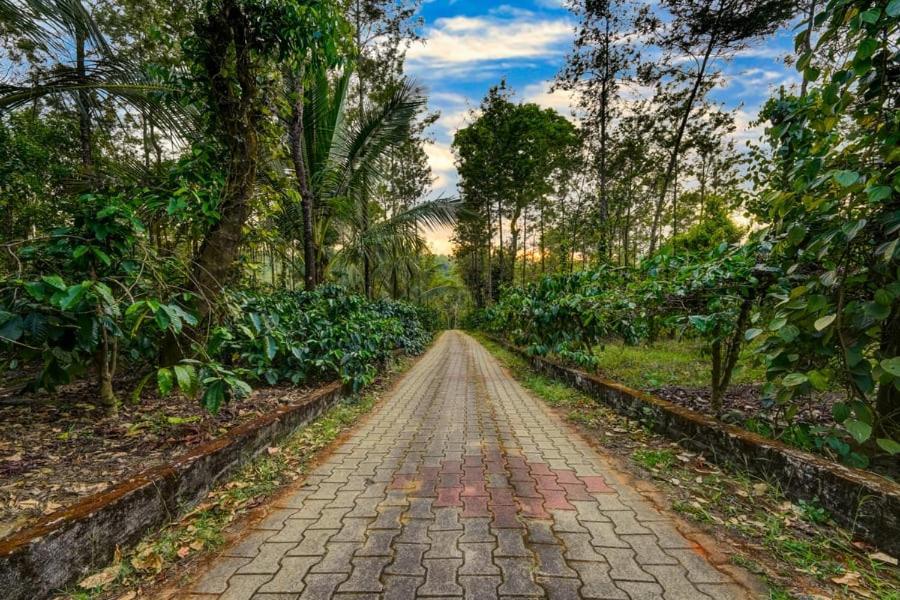 מדיקרי Coorg Bliss Estate Stay מראה חיצוני תמונה