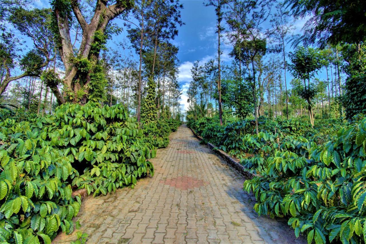 מדיקרי Coorg Bliss Estate Stay מראה חיצוני תמונה